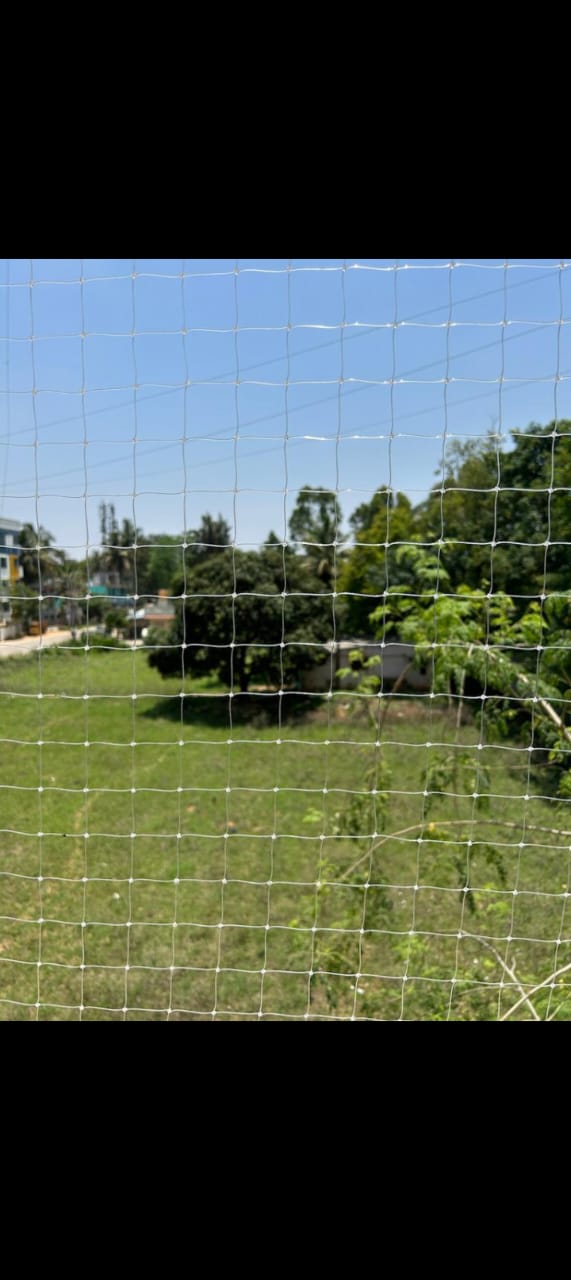 Cricket Nets